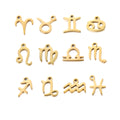 Sign of the Zodiac Charms available in Silver & Waterproof Gold sold Individually - SSC10
