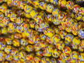 fused african recycled glass round beads #3516 multicolor strand