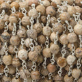 4mm Picture Jasper faceted rounds Silver Plated Wire Wrapped Chain