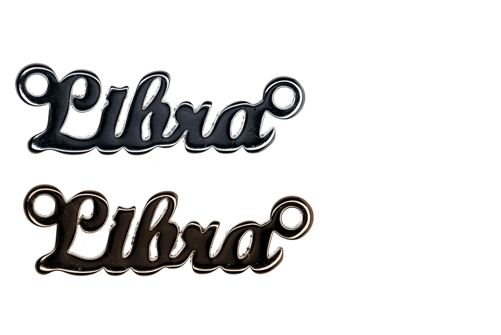 Sign of the Zodiac Charm Laser Cut Brass with 2 Loops - Z1