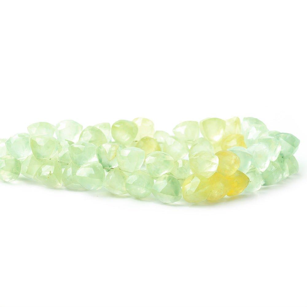 8mm Prehnite top drilled Trillion 8 inch 53 beads 8mm A